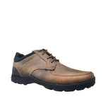 Casuales Berto Oxford café